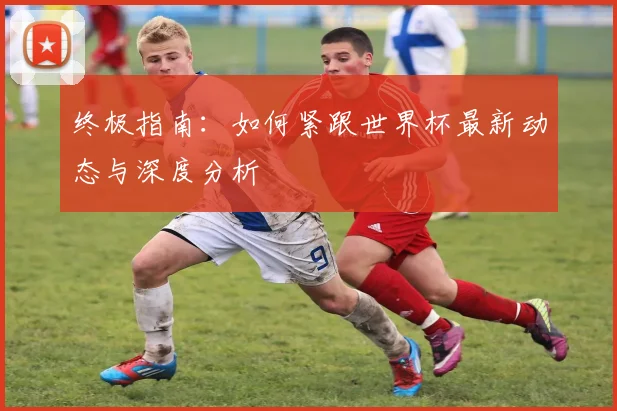 终极指南：如何紧跟世界杯最新动态与深度分析